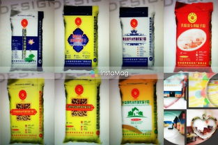 绿色涂装，匠心筑家——桂林福祥家安涂料厂精细解读